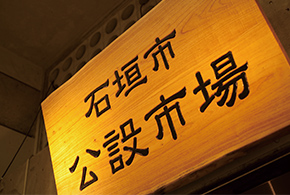 公設市場